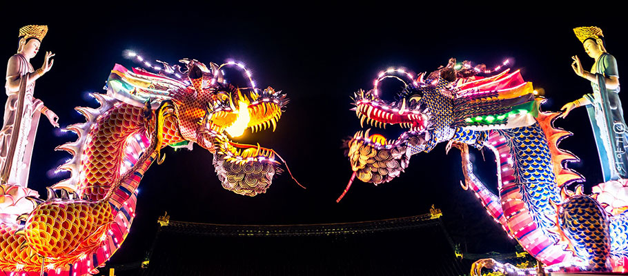 dragons